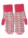 Two wool mittens