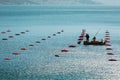 Two workers of mussel and fish farm