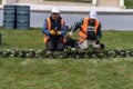 Planting flowers to city