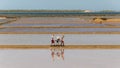 Two workers at the west coast salt pans in Marsala