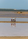 Two workers at the west coast salt pans in Marsala