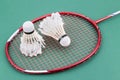 Two worned out badminton shuttlecock with racket on green court Royalty Free Stock Photo