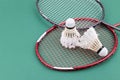 Two worned out badminton shuttlecock with racket on green court Royalty Free Stock Photo