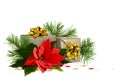 Two wrapped in festive paper gift boxes with green christmas twigs and red poinsettia flower on white background Royalty Free Stock Photo