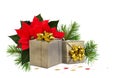 Two wrapped in festive paper gift boxes with green christmas twigs and red poinsettia flower on white background Royalty Free Stock Photo