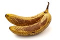 Two wrinkled old bananas with brown spots isolated on white background with clipping path cutout concept for spotted over ripe Royalty Free Stock Photo