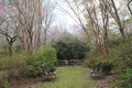 Two wrought iron benches in back of southern plantation in rural Mississippi