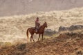 Cowboys Moving the Herd Royalty Free Stock Photo