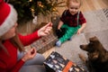 A two-year-old child sits on the floor and feeds a mongrel dog treats. Royalty Free Stock Photo