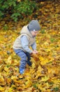 Two years old boy standing on falling autumn leaves Royalty Free Stock Photo