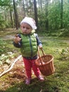 Two years old girl finding mushrooms in a forest Royalty Free Stock Photo