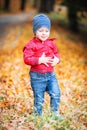 Two years old toddler have fun outdoor in autumn park Royalty Free Stock Photo