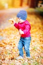 Two years old toddler have fun outdoor in autumn park Royalty Free Stock Photo