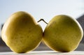 Two yellow apples Royalty Free Stock Photo