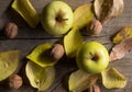 Two yellow apples, walnuts and autumn leaves on wood Royalty Free Stock Photo