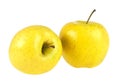 Two yellow apples on white background Royalty Free Stock Photo