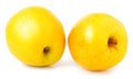 Two yellow apples on a white background Royalty Free Stock Photo