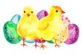 Two yellow baby chickens with painted easter eggs. Hand drawn watercolor cartoon sketch illustration Royalty Free Stock Photo