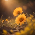 Two yellow daisies in the sunset light. Shallow depth of field. generative ai Royalty Free Stock Photo