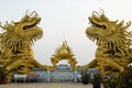 Two yellow dragon and fire ball in Vietnam Temple