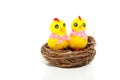 Two yellow easter chicks Royalty Free Stock Photo