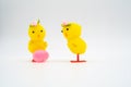 Two yellow easter chicks looking surprised at pink egg isolated Royalty Free Stock Photo