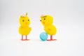 Two yellow easter chicks looking surprised at pink egg isolated Royalty Free Stock Photo