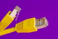 Two yellow ethernet connectors