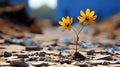 two yellow flowers are growing out of the ground Royalty Free Stock Photo