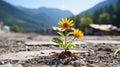 two yellow flowers growing out of the ground in front of a mountain Royalty Free Stock Photo