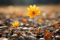 two yellow flowers growing out of the ground in the middle of a field Royalty Free Stock Photo