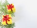 Two Yellow gift box with red ribbon on white background with arborvitae branches aside.