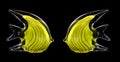 Two yellow glass stripped fish Royalty Free Stock Photo