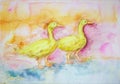 Two yellow gooses in the lake on a pink orange background.
