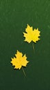 The Two Yellow Leaves: A Green Surface, Grass, and Lossless Floa