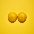 Two yellow lemons on a bright yellow background Royalty Free Stock Photo