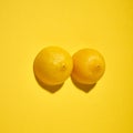 Two yellow lemons on a bright yellow background Royalty Free Stock Photo