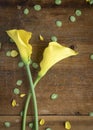 Two yellow lilies close up with crossed stems and scattered tiny green leaves on a rustic wood table as a background Royalty Free Stock Photo