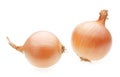 Two yellow onion bulbs