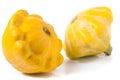 Two yellow pattypan squash isolated on white background Royalty Free Stock Photo
