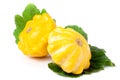 Two yellow pattypan squash with leaf on white background Royalty Free Stock Photo
