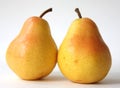 Two yellow pears