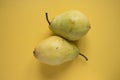 Two yellow pears Royalty Free Stock Photo