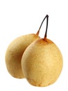 Two yellow pears Royalty Free Stock Photo