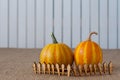 Two yellow pumpkins behind miniature or toy wooden Royalty Free Stock Photo