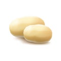 Two Yellow Raw Whole Peeled Potatoes on Background