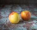Two yellow-red apples on variegated rustic background Royalty Free Stock Photo