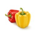 Two Yellow and Red Bulgarian Bell Peppers Isolated Royalty Free Stock Photo