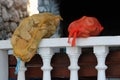 Two yellow and red reusable nylon mesh produce bags filled with old bread leftovers on concrete balcony fence left to dry on warm