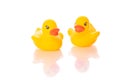 Two yellow rubber ducklings, reflected in glass surface isolated on white Royalty Free Stock Photo